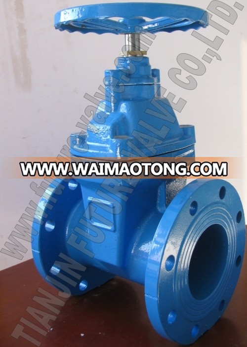 Bs5163 Resilient Seated Gate Valve Non-Rising Stem Rsgv Dn100