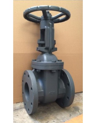 Cast iron rising stem gate valve 125lb