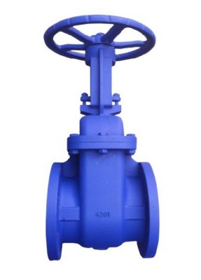 ANSI Cast Iron flange end Gate Valve 125LB