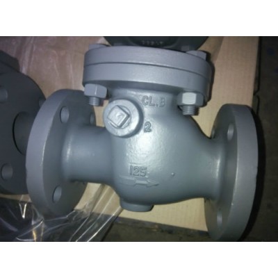 ANSI Cast Iron Swing Check Valve