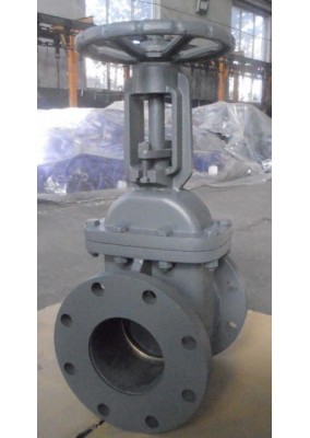 Standard ANSI Cast Iron Gate Valve Supplier