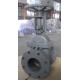 Standard ANSI Cast Iron Gate Valve Supplier