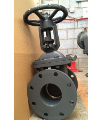 Cast Iron NRS Gate Valve 125lb