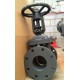 Cast Iron NRS Gate Valve 125lb