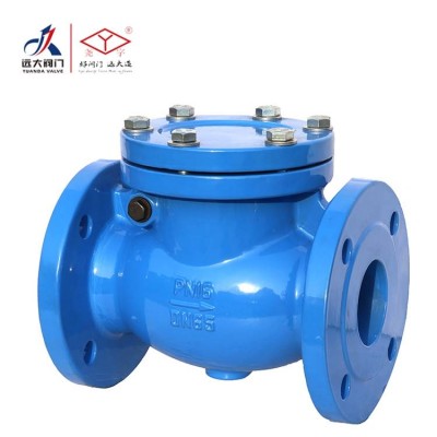 cast iron single disc pn16 8 inch hydraulic horizontal swing check valve